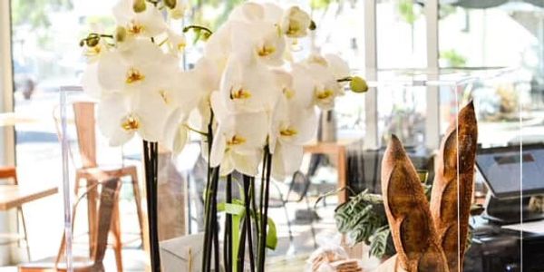 Elegant white orchids and fresh bakery items displayed in a bright café.