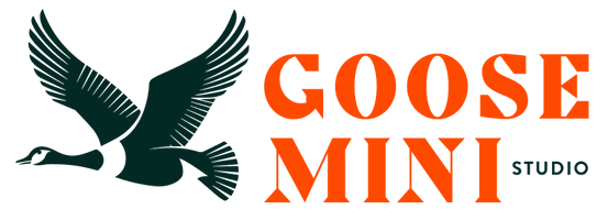 Goose Mini Studio