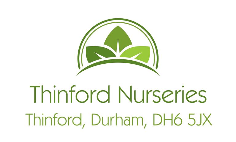 Thinford Nurseries