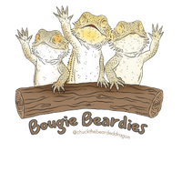 Bougie beardies