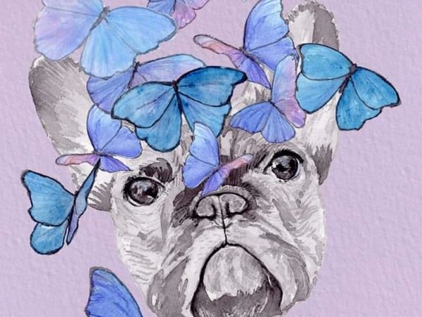 Artwork featuring a black and white pug in watercolor with blue butterflies flying around it.