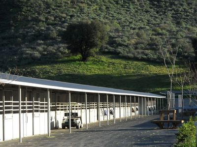 Four Oaks Farm
Equine Rehabilitation 
