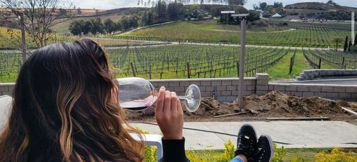 straight off the vine wine tours reviews