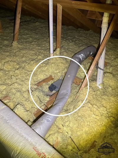 Bathroom exhaust fan vents directly into Attic. 