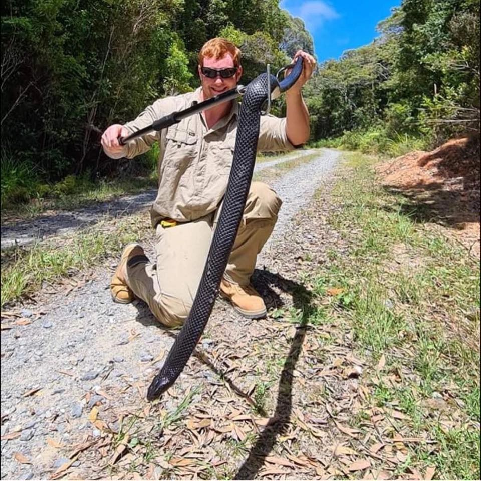 Snake catcher Townsville Home