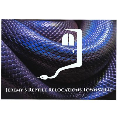 townsville snake catcher