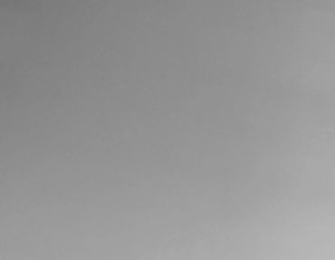 Custom kitchen cabinetry design by TKB Group. A  modern kitchen in Ontario with a large island.