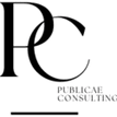 Publicae Consulting