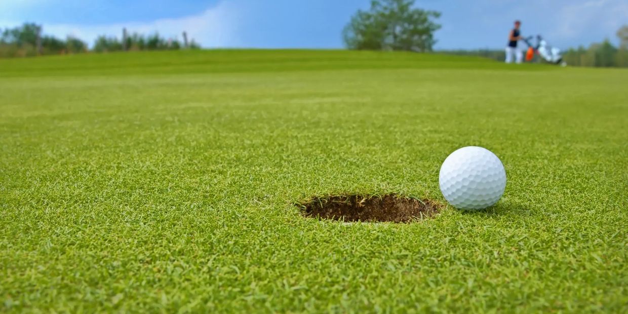 Golf course turf and golf ball. Golfer 