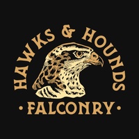 Hawks & Hounds Falconry Experience