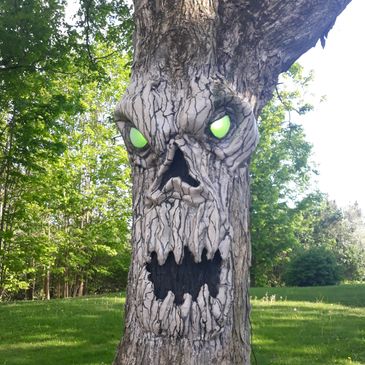 Tree sculpture faces on live trees. Created in Albany NY, California, Delmar NY, and Saratoga NY.