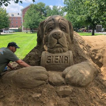 Sand Sculptures in California, North Carolina, New York, and Florida. Albany NY, Fonda NY Sandman