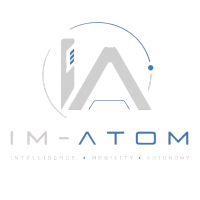 Atom Moves