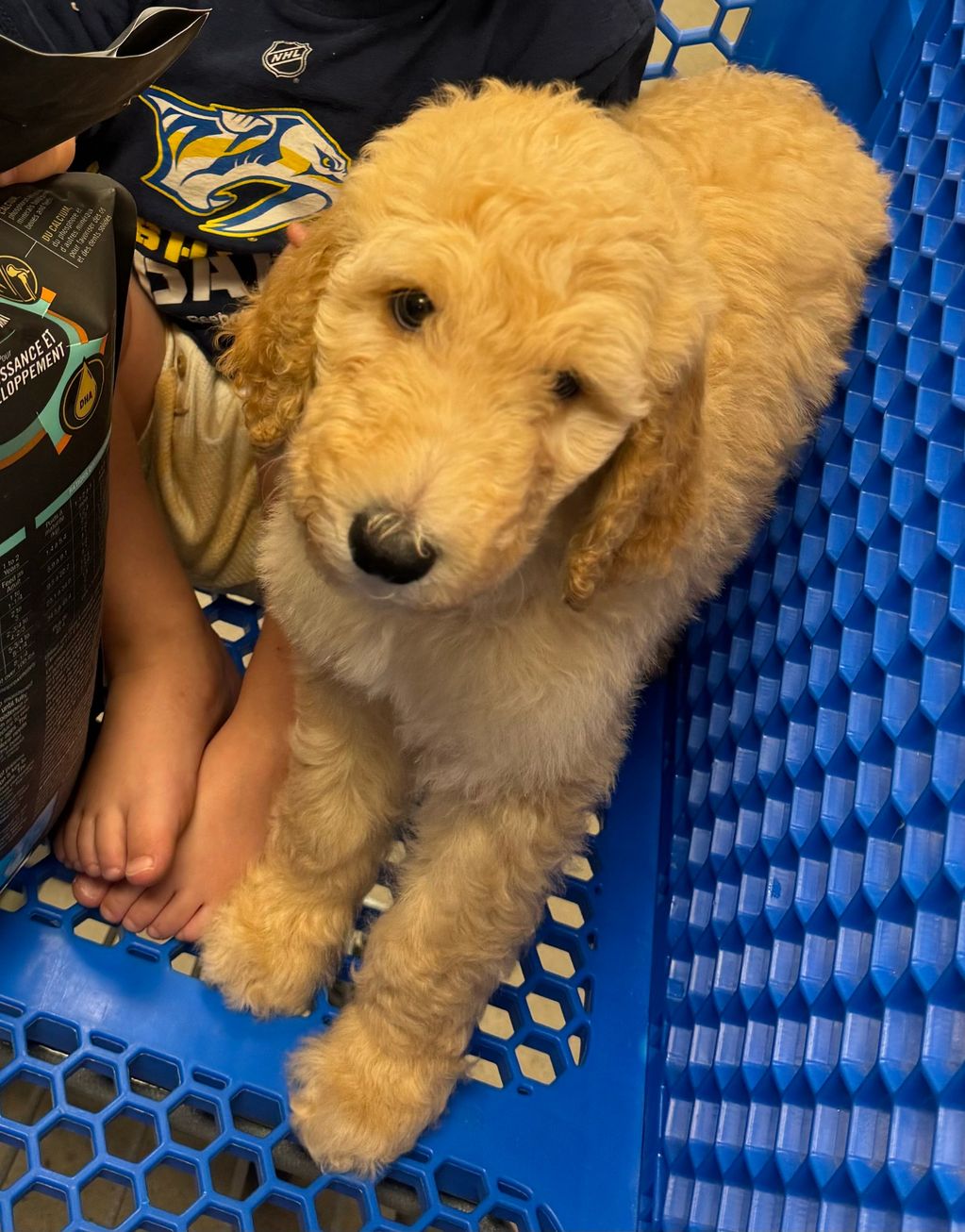 Finn