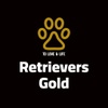 Retrievers Gold AZ