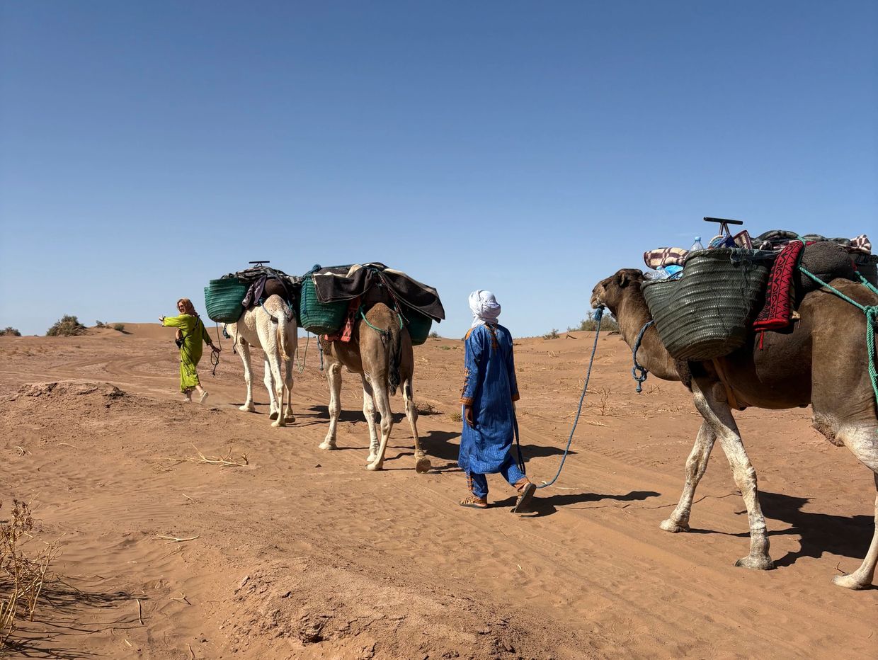 Desert and Yoga Experience with Camel Trekking Retreat in Morocco