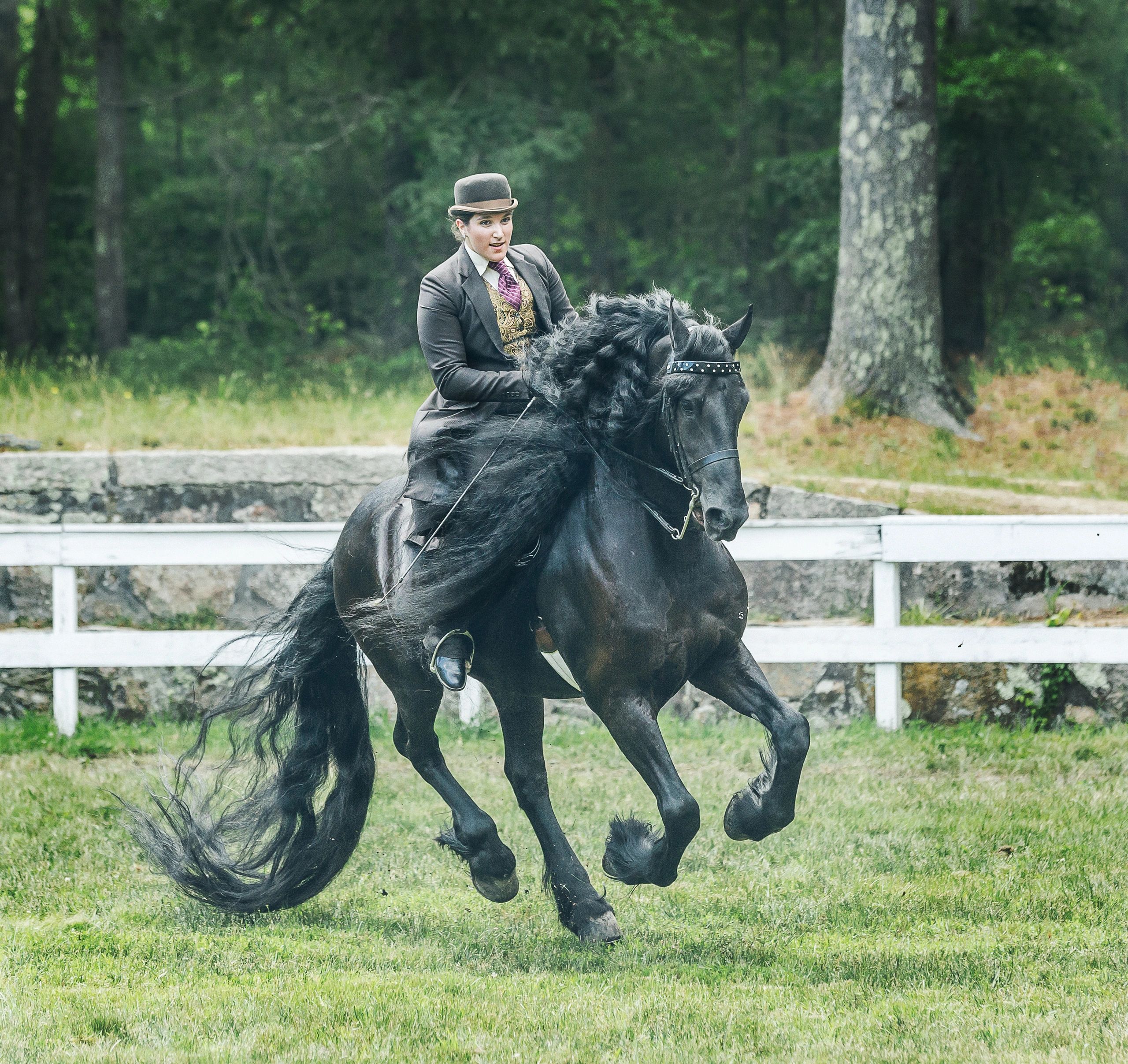 The Marion Horse Show 75th Anniversary Open Breed Horse Show, Open