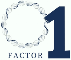 O1 Factor