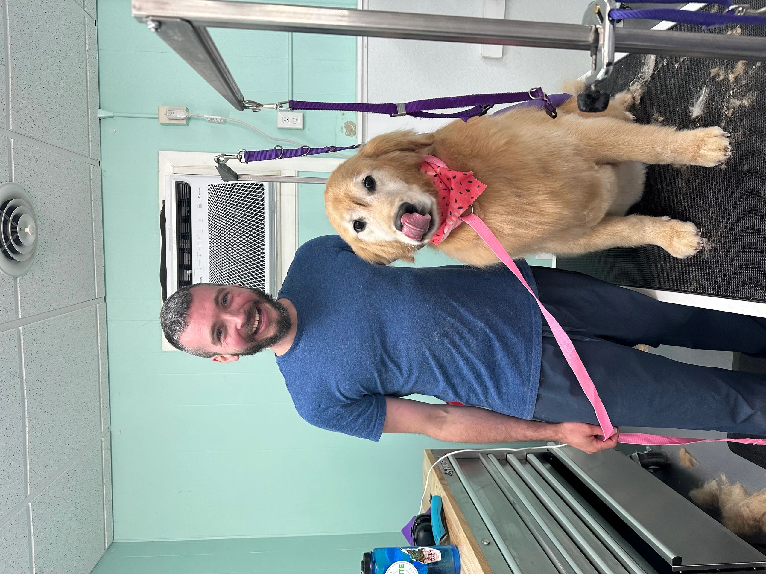 A happy man stands next to a golden retriever wearing a pink bandana.