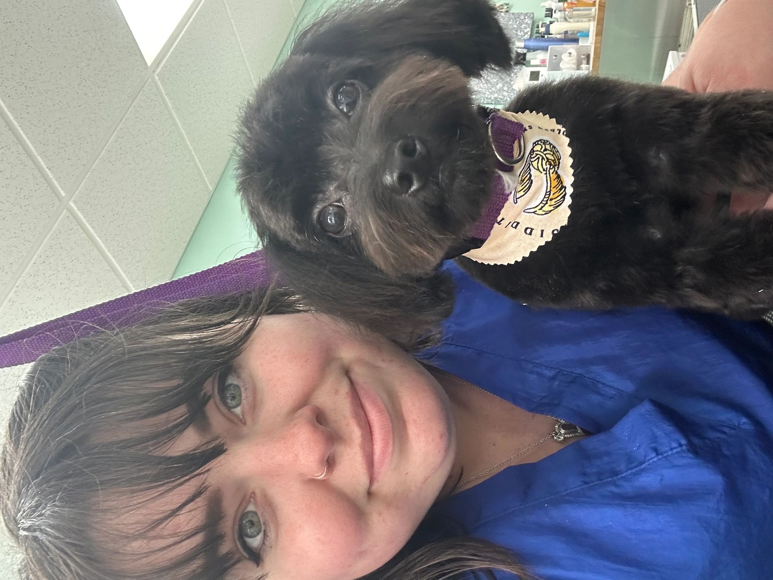 A woman in blue scrubs smiles next to a small black dog with a decorative bandana.