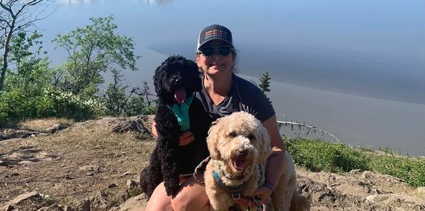 Person with two dogs by a lake with snowy mountains in the background.