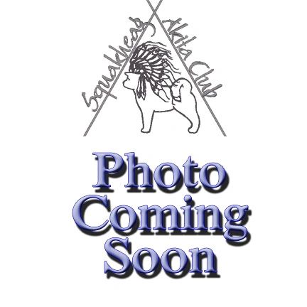 //img1.wsimg.com/isteam/ip/53ce9499-9f34-44de-98b5-473b1bc6b92f/9631bb6fad62d54b12a85bd4c8a92a2e.jpg/:/rs=w:1300,h:800