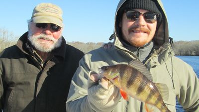 2 men with Yellow Perch Fish on a boat in river 