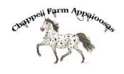 Chappell's Appaloosas