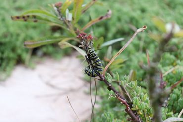 image99
