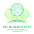 Meshanticut Cultural Placemaking Confestival