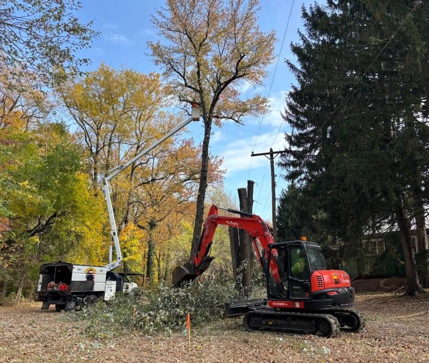 Veteran Tree & Landscape job site