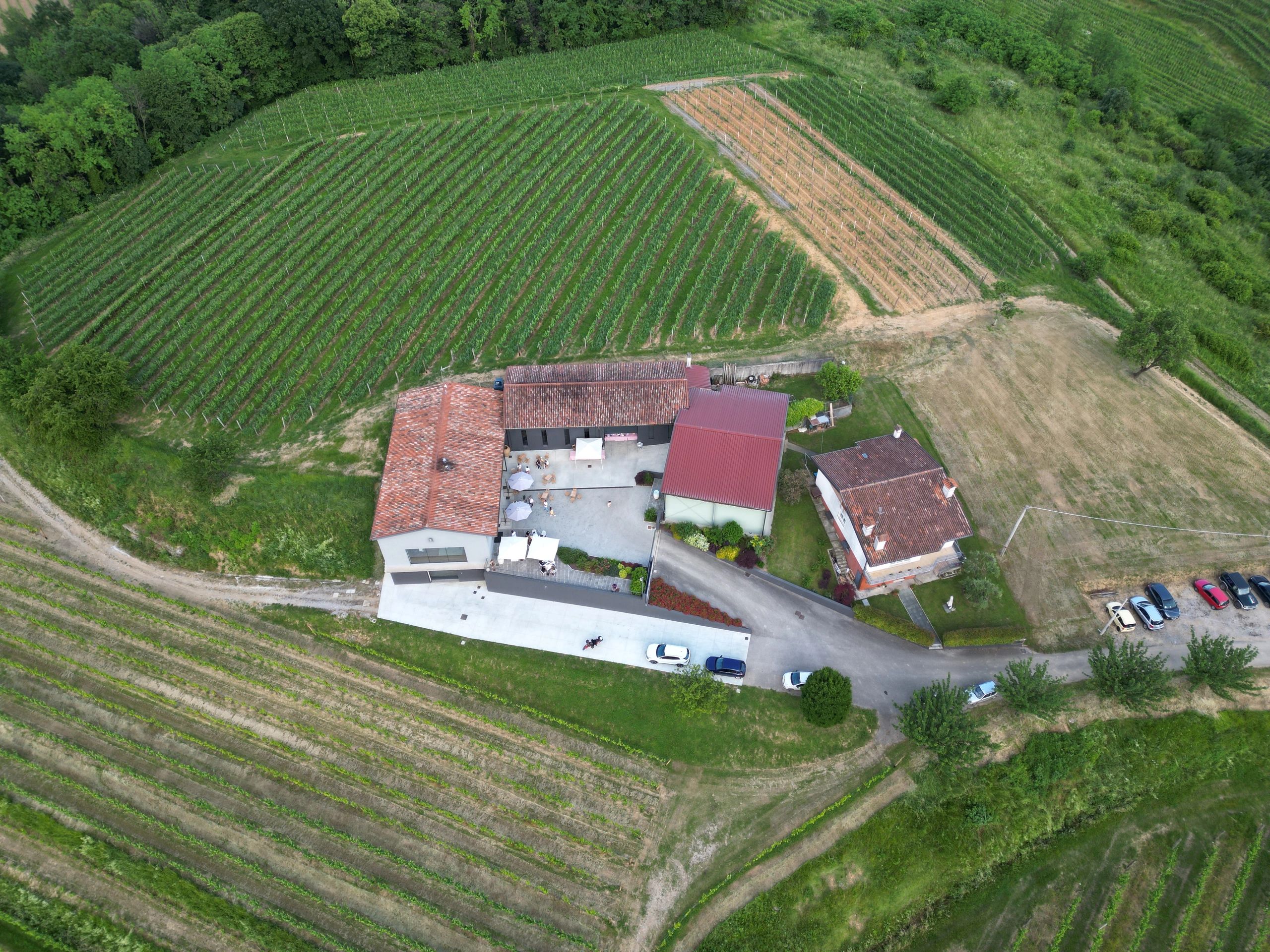 Ripresa aerea di cantina Polje a Capriva del Friuli