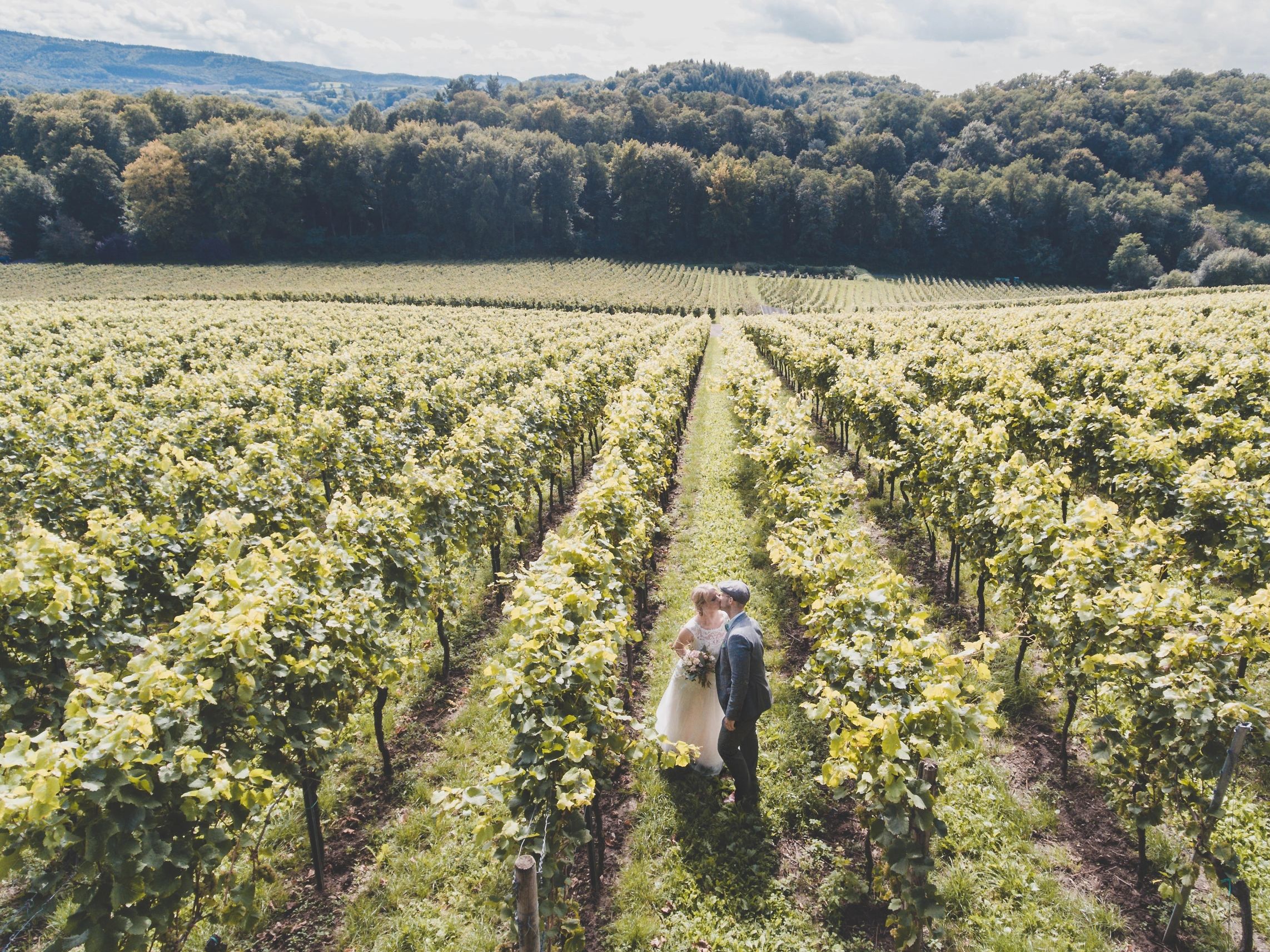 Ripresa aerea di un matrimonio in mezzo a i vigneti 