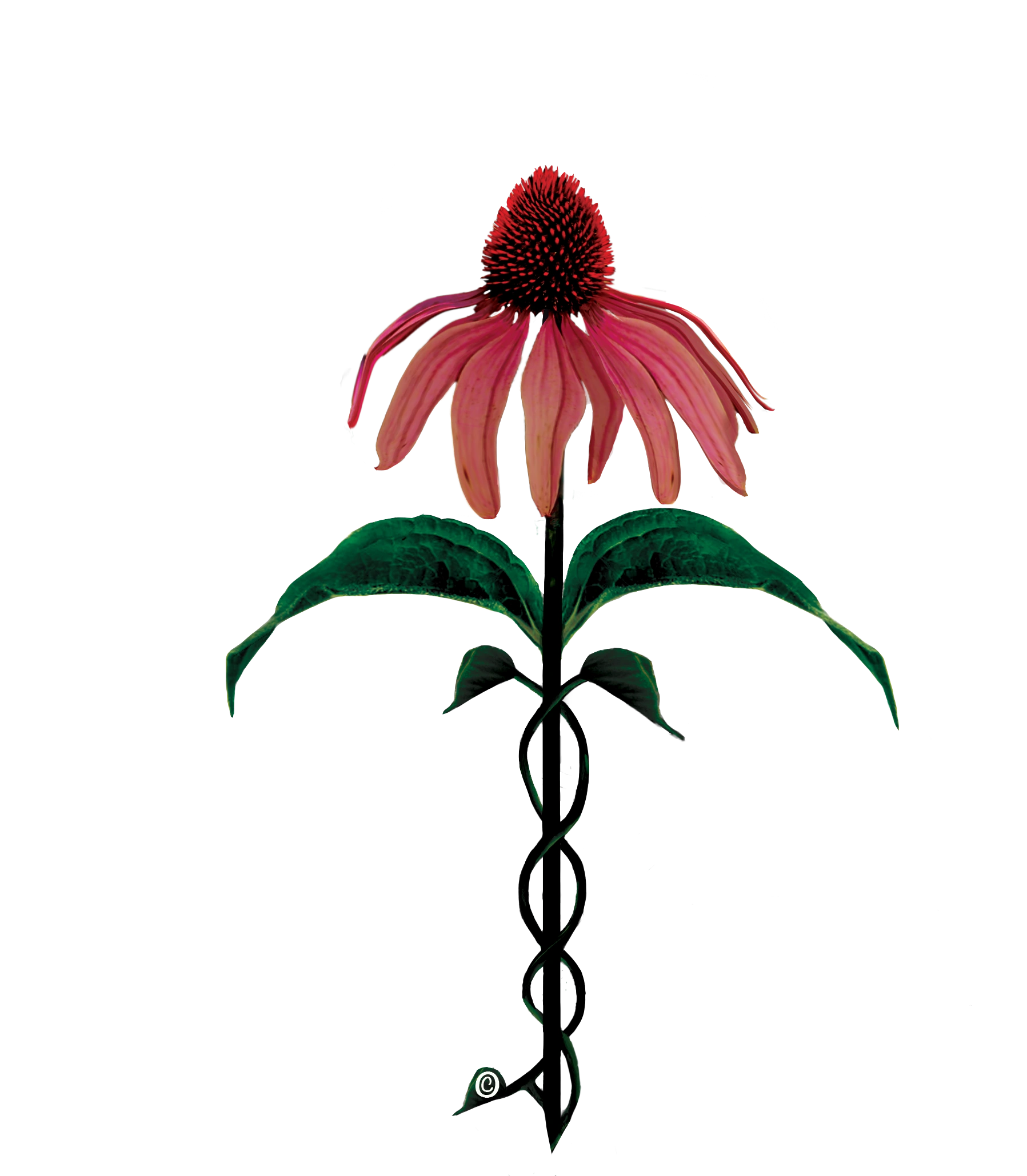 The Remedy logo