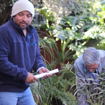 Two men tending to plants in a garden, one holding a rolled paper.