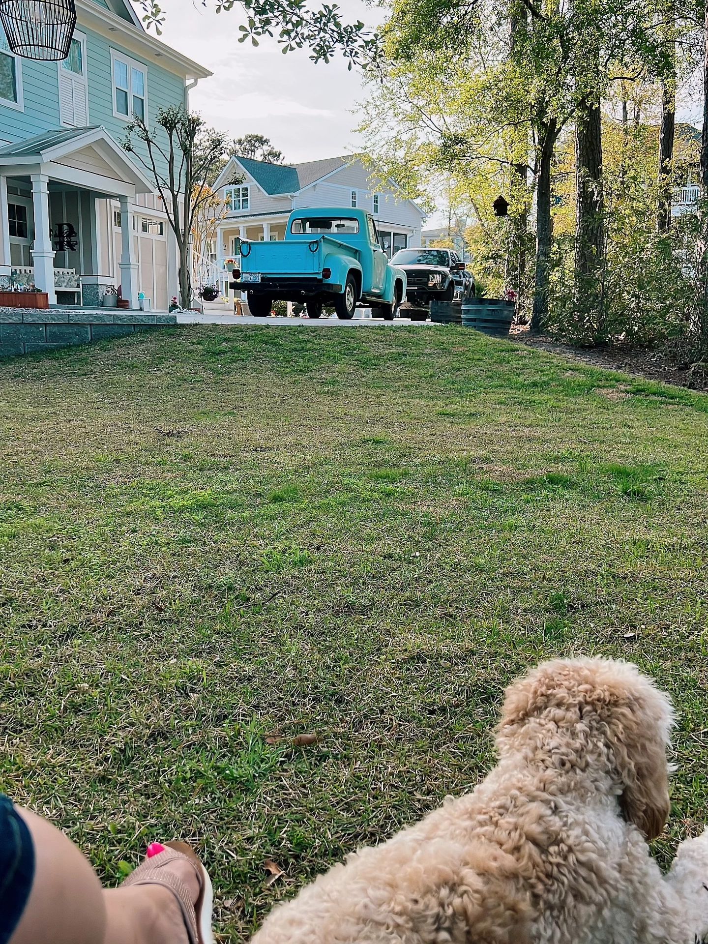 Grass truck yard 