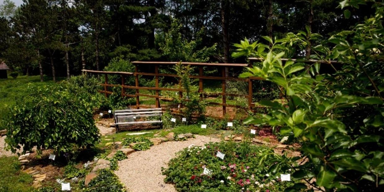 The Shakespeare Garden at Hilltop. Photo by James Brother, IU Communications