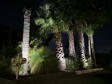 12 volt 5000k stainless spotlights on PE Cell, highlighting palm trees in Patterson Lakes, Victoria