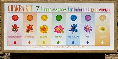 Chakra Kit