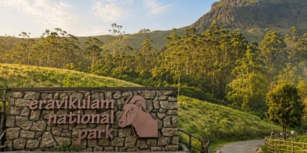 Karur - Munnar - Tour - Packages karur to munnar taxi booking karur to munnar cab booking