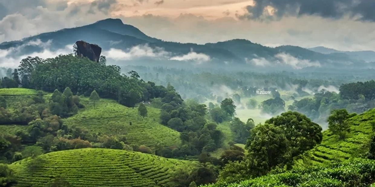 Karur to yercaud tour package karur to yercaud call taxi service cab book to karir to yercaud