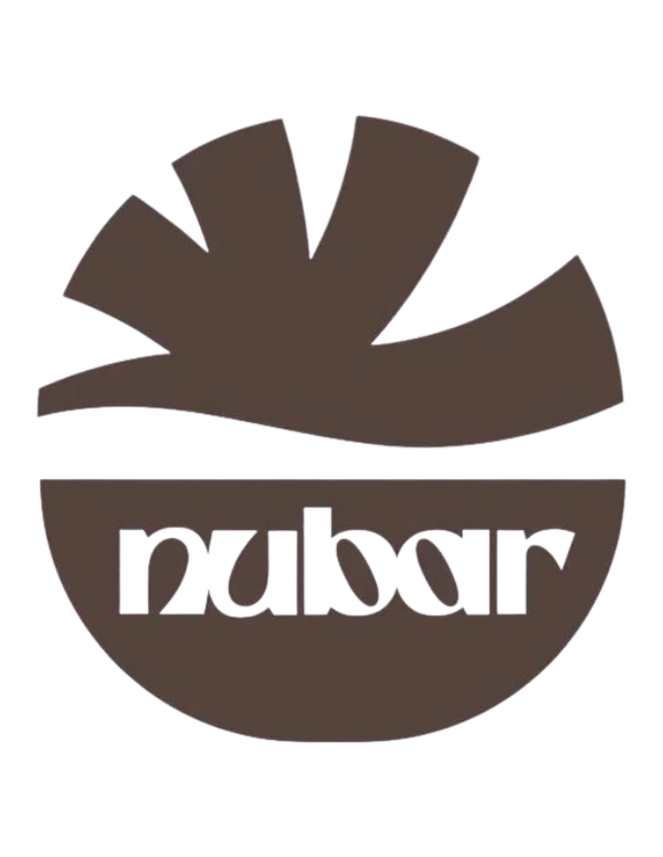 Brown stylized logo with the word 'rulssar'.