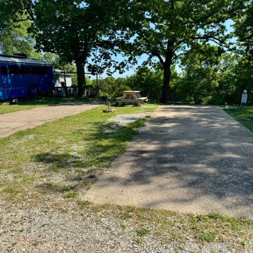 Empty campsite with picnic table and large trees.