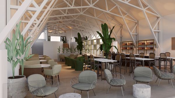 Modern cafe interior with stylish seating and greenery.