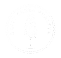 City Creek Realty