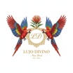 Lujo Divino