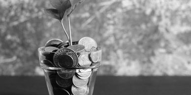 A small plant growing from a glass filled with coins.