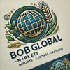 bobglobalmarkets.com