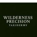 Wilderness Precision