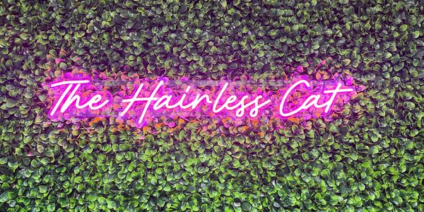 Neon sign reading 'The Hairless Cat' on a lush green leaf wall.